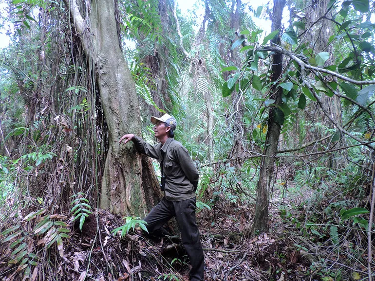 Kỹ sư Nguyễn Tấn Truyền khảo sát và tìm dấu vết rắn hổ mây ở U Minh Hạ
